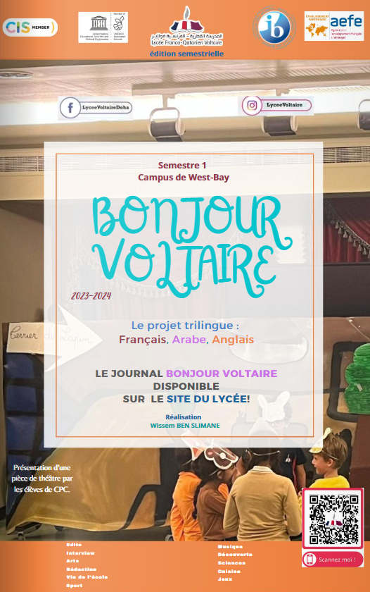 Bonjour Voltaire