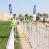 Cross 2024