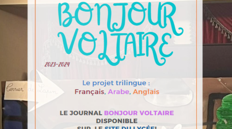 Journal Bonjour Voltaire